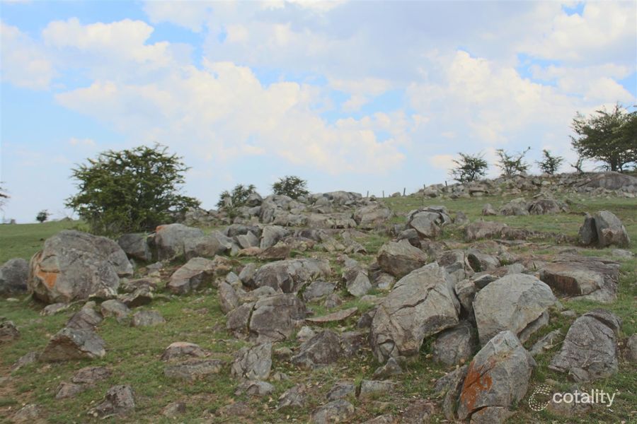 104 Smiths Lane, Tenterfield, NSW 2372