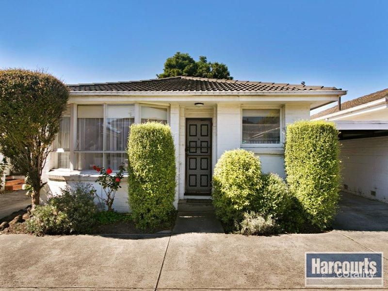 6/51 Middleborough Rd, Burwood, VIC 3125