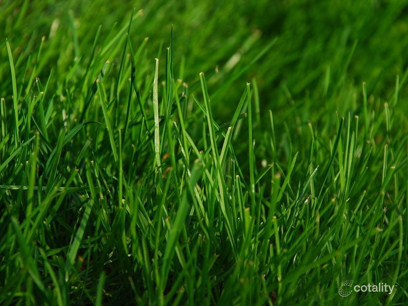 Lot 314 Bandicoote Cct, Longwarry, VIC 3816