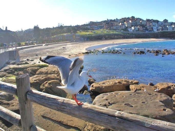 47 Evans St, Bronte, NSW 2024