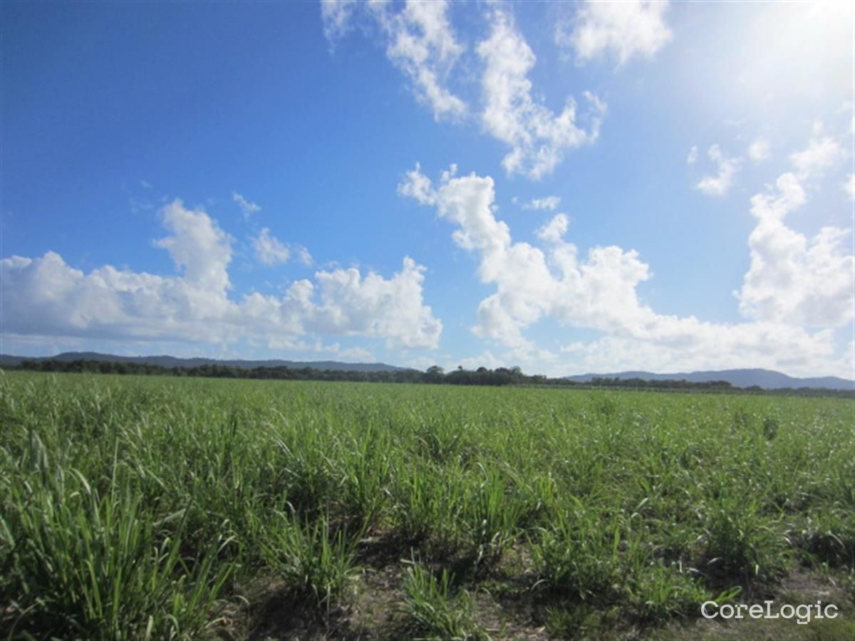 64000 Bruce Hwy, Comoon Loop, QLD 4858