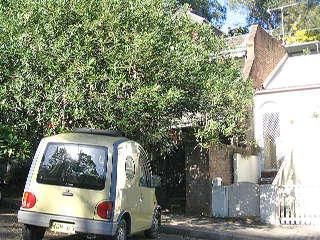 41 Harris St, Paddington, NSW 2021