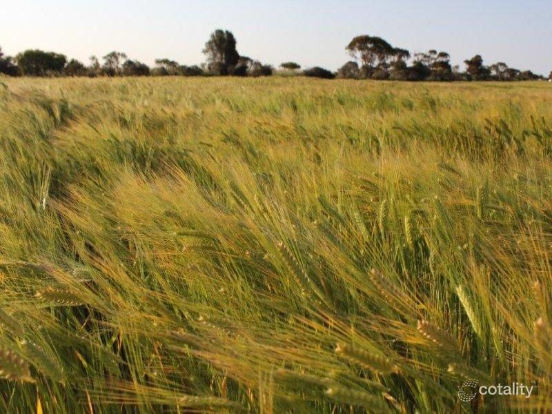 Lot 13976 Chandler Merredin Rd, Goomarin, WA 6415