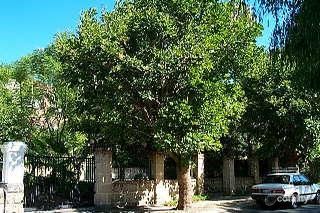 15a Barsden St, Cottesloe, WA 6011