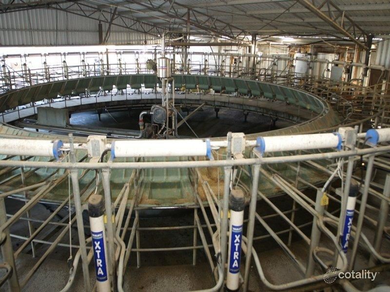 2419 Lavers Hill-Cobden Rd, Simpson, VIC 3266