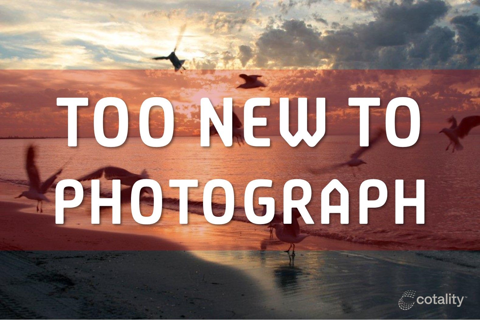 5 Gannet Ct, Geographe, WA 6280