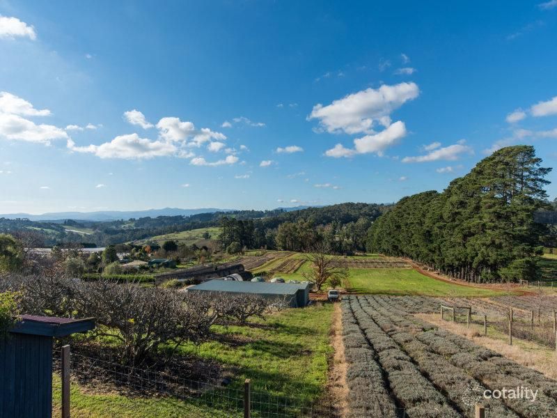 15 Henderson Hill Rd, Silvan, VIC 3795