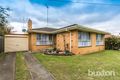 Property photo of 56 Wilton Avenue Newcomb VIC 3219