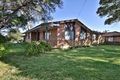 Property photo of 124 Illaroo Road North Nowra NSW 2541