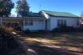Property photo of 9 Ellengerah Street Narromine NSW 2821