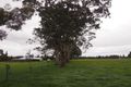 Property photo of 297 Mt Baimbridge Road Hamilton VIC 3300