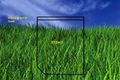 Property photo of 18 Ellaroo Circuit Clyde North VIC 3978