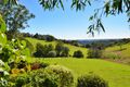 Property photo of 55 Tamarind Street Maleny QLD 4552