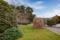 Property photo of 23 Railway Avenue Yackandandah VIC 3749