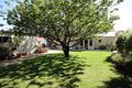 Property photo of 31 Linley Avenue Prospect SA 5082