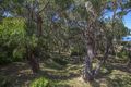 Property photo of 8 Allen Street Lorne VIC 3232