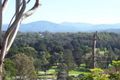 Property photo of 11 Riverview Crescent Catalina NSW 2536