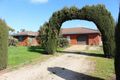 Property photo of 331 River Road Nyah VIC 3594