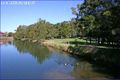 Property photo of 46 Garden Street North Narrabeen NSW 2101