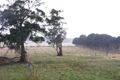 Property photo of 8 Coburn Lane Smithton TAS 7330