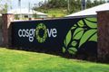Property photo of 9 Tor Street Cosgrove QLD 4818