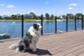 Property photo of 4 Weatherly Avenue Mermaid Waters QLD 4218