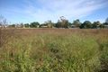Property photo of 53 Robertson Road Raceview QLD 4305
