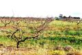 Property photo of 157 Kallora Road Bowmans SA 5550