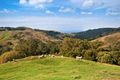 Property photo of 20 Foran Track Apollo Bay VIC 3233