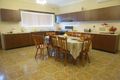 Property photo of 9 Allibone Street Ashbury NSW 2193