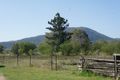 Property photo of 181 Emu Park Road Nerimbera QLD 4701