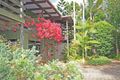 Property photo of 32 Plumtree Pocket Upper Burringbar NSW 2483