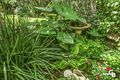Property photo of 97 Central Coast Highway Kariong NSW 2250