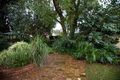 Property photo of 29 Waller Street Lathlain WA 6100