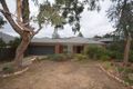 Property photo of 91A Mistletoe Street Golden Square VIC 3555