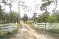 Property photo of 53 Cameron Road Taromeo QLD 4314