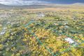 Property photo of 1 Bill Court Alligator Creek QLD 4816