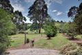 Property photo of 4 Le Souef Road Gembrook VIC 3783