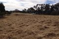 Property photo of 5 Hill Street Majors Creek NSW 2622