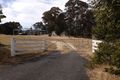 Property photo of 5 Hill Street Majors Creek NSW 2622