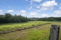 Property photo of 474 Syndicate Road Miallo QLD 4873