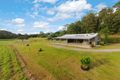 Property photo of 474 Syndicate Road Miallo QLD 4873