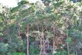 Property photo of 7 Castle Circuit Umina Beach NSW 2257