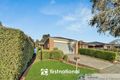 Property photo of 19 Cirai Crescent Cranbourne West VIC 3977