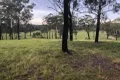 Property photo of 51 Moonee Creek Drive Moonee Beach NSW 2450