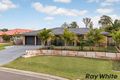 Property photo of 113 Kirralee Crescent Upper Kedron QLD 4055