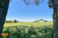 Property photo of 115 Burtons Lane Forest Reefs NSW 2798