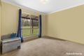 Property photo of 81-89 Pine Forest Way Tamborine QLD 4270