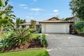 Property photo of 43 Maloney Crescent Maudsland QLD 4210