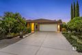 Property photo of 22 Trevor Street Bellbird Park QLD 4300